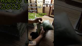 Как заготовить кинзу впрок #Заготовки на зиму один из способов | часть 2-ая🌿26 мая🌿