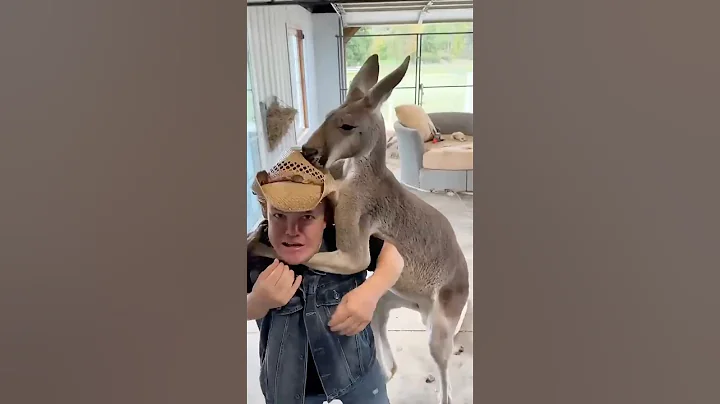 10 Deadly Mistakes You Should NEVER Make With Animals #shorts