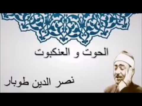 الحوت والعنكبوت ابتهال الشيخ نصر الدين طوبار