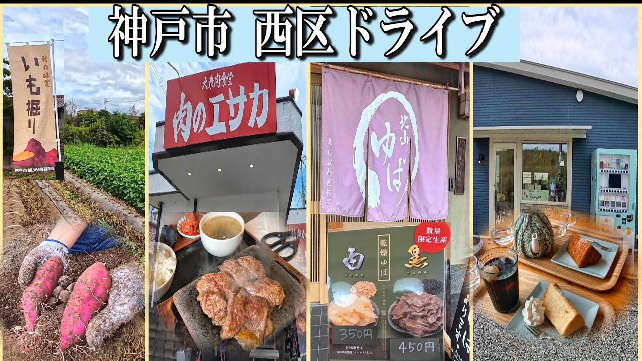 コスパ最高！肉食堂  ワンコと一緒 芋掘り農園  癒やしのシフォンケーキ店  湯葉直売所