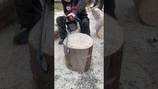 #chainsaw #wood #woodworking #forestry #fyp #shorts