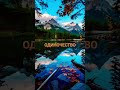 одиночество