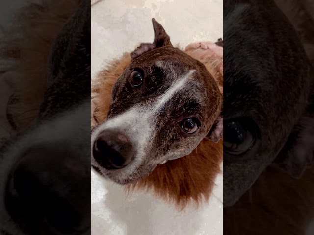 Ariana Grande stories November 8, 2019