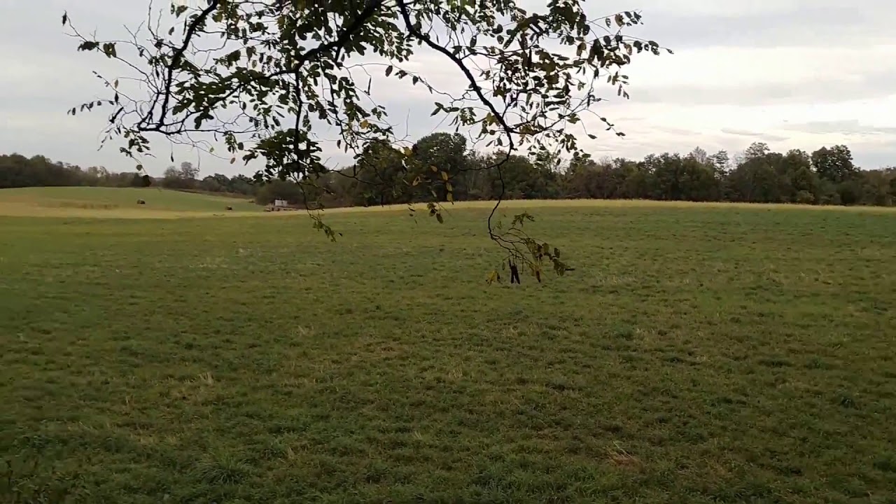 Oct.8,2019 Coshocton co. Ohio Deer hunt. Thanks for watching please