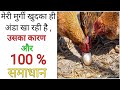 118, Ande khane wali murgi ka ilaj | Hen eating egg how to stop | Chicken eating eggs | Hen eat egg