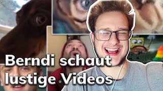 Ích Habe Einen Lachflash Haha - Berndi Reagiert