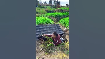 Nướng khoai với em hàng xóm #funny