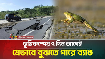 ভূমিকম্প হওয়ার ৭ দিন আগেই যেভাবে বুঝতে পারে ব্যাঙ | Earthquake | Frogs | ATN Bangla News
