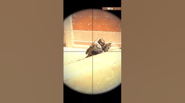 AWP 3K on Anubis! CS2