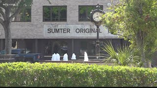Famous Downtown Sumter gets ready for some new murals Profile