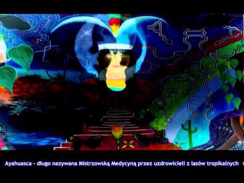 Psychodeliczne Doświadczenie/The Psychedelic