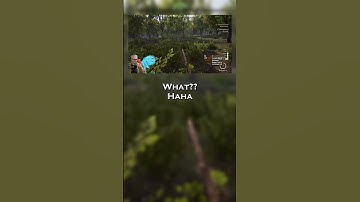 #Tybalt is having a hard time again... #Funny #streamer #Twitch #bot #casualrespawn