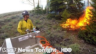 Prescribed Burning & Trump's Social Media Summit: VICE News Tonight Full Episode screenshot 5