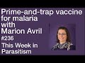 TWiP 236: Prime-and-trap vaccine for malaria with Marion Avril
