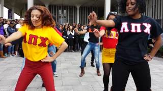Lambda Pi Chi Gamma Stroll UAlbany 2013