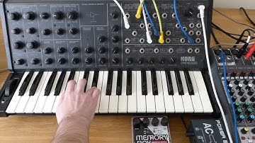 Korg MS20 & EHX Memory Boy Analog Delay