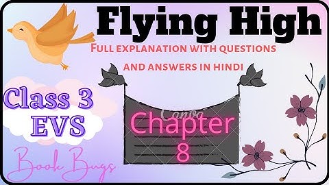 Ncert class 3 Evs chapter 8(Flying high) explanation with questions and answers. #ncert