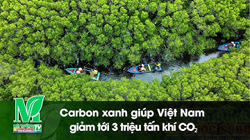Carbon xanh giúp Việt Nam giảm tới 3 triệu tấn khí CO₂