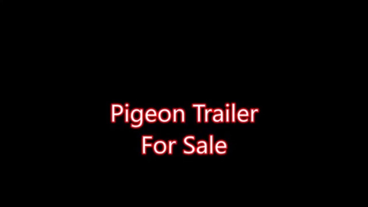 racing pigeon trailer for sale asking 2000 YouTube