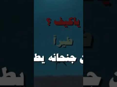 شيله حزينه مافات مات قادم الوقت تيسير تيم ماربين غين اكسبلور  تصميم فولو لايك كومنت