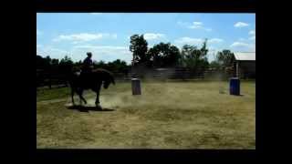 Gunslingin Chic - 2005 son of Smart Chic Olena