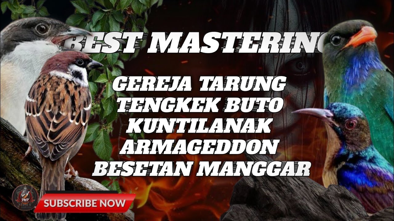 MASTERAN CENDET GEREJA ,TENGKEK BUTO ,KUNTI ,ARMAGEDDON ,MANGGARAN