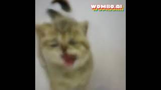 Friends song with the kitten cat on WOMBO.AI