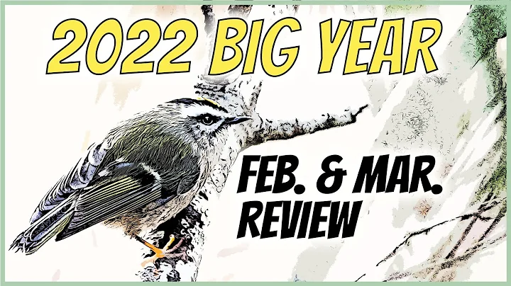 2022 Birding Big Year: February & March Review + W...