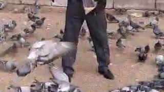 Yalan Dünya Işte Senden Aha Geldim Gidiyorum