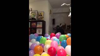 Balloon ball pit time lapse