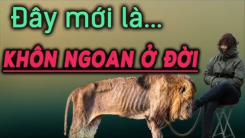 Sống như thế này mới thực sự là người khôn ngoan - NGẪM PLUS