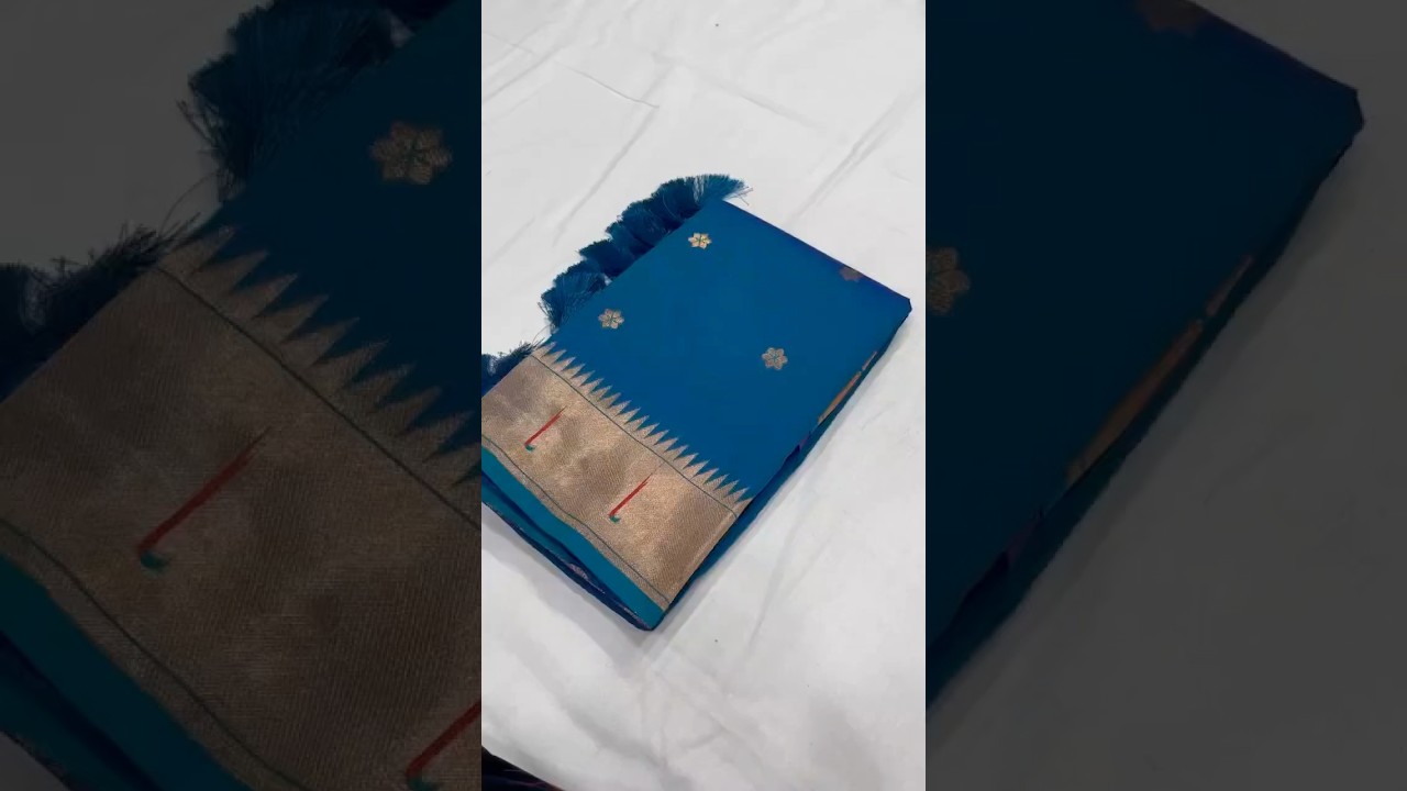 Paithani Vitthala Pallu Muniya Border Saree