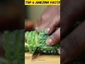 "6 Food Facts You Must Know! 😱"#facts #youtubeshorts