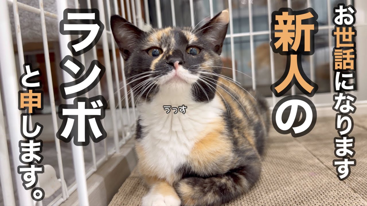 顔がススだらけの子を保護しました。