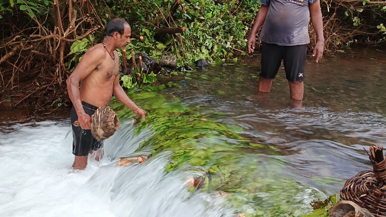 उतरणीच्या माश्यांसाठी नदीत 