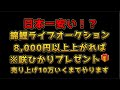 【錦鯉販売】ライブオークション