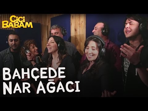 Cici Babam - Bahçede Nar Ağacı (Sinemalarda)