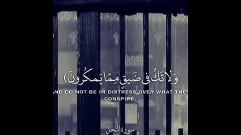 قران الكريم سوره النحل 💛