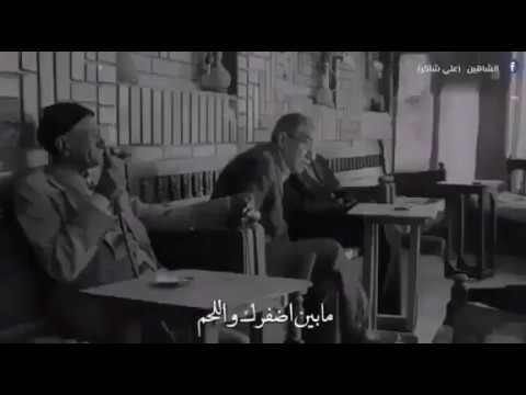 خلصت اضفري من الاكل ليك من احن يوميه كاطع المياحي حالات واتساب