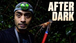 Hunting River Prawns at Night in Samoa | Catch & Cook