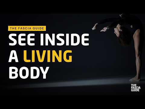 Strolling under the skin: How does it look inside a living body?