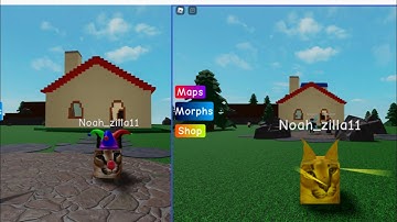 How to get clown floppa and gold floppa (find the floppa morphs)