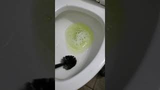 Cleaning toilet with CLR