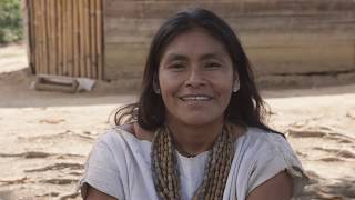 Thank You From Rainforest Flow. Happy 2020