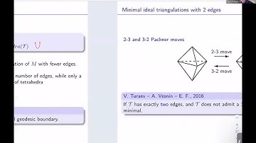 Evgeny Fominykh, Minimal ideal triangulations with 2 and 3 edges