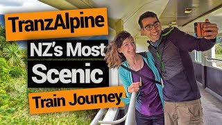 TranzAlpine Train: The Most Scenic New Zealand Train ...