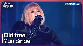 Yun Sinae - Old tree   [Open Concert : EP.1586] | KBS KOREA 260816