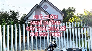 bán nhà tiền giang | xót xa chị Yến bà nhà vườn nghĩ dưỡng "TÂM HUYẾT" giá 850 triệu | Nhà Đẹp