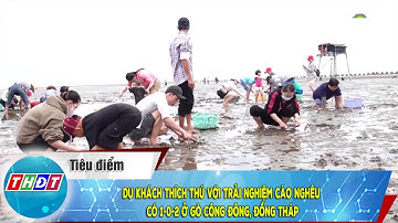 Du khách thích thú với trải nghiệm cào nghêu có 1-0-2 ở Gò Công Đông, Đồng Tháp