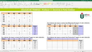 Distribución celular. Células de trabajo. Caso práctico